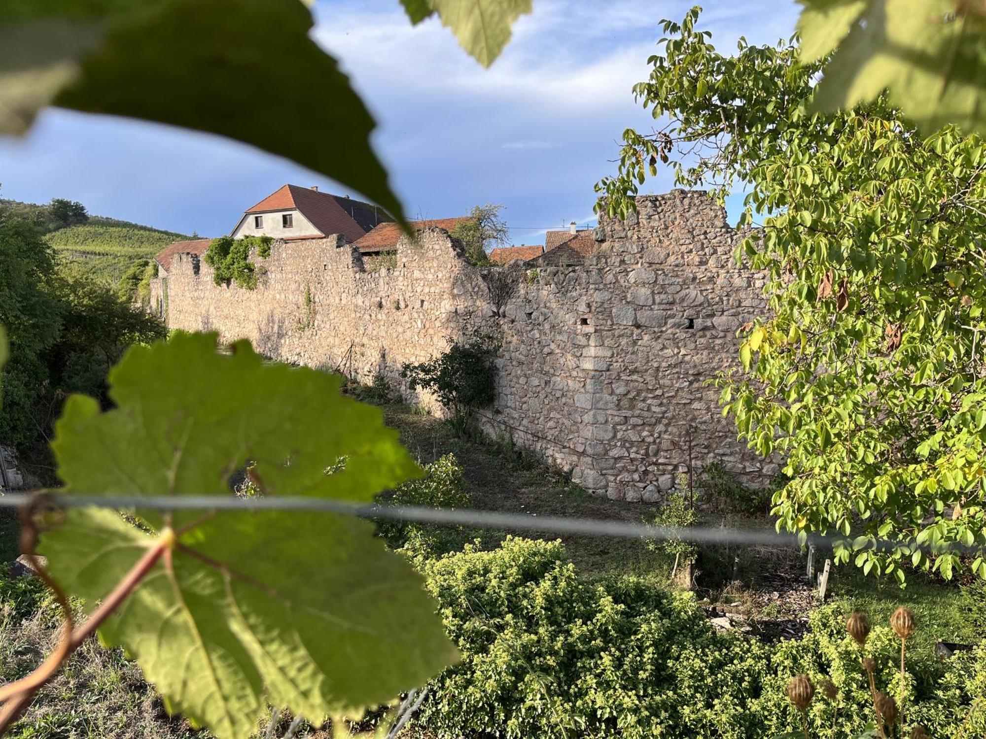 Hotel Le Refuge Du Rempart Dambach Pokój zdjęcie